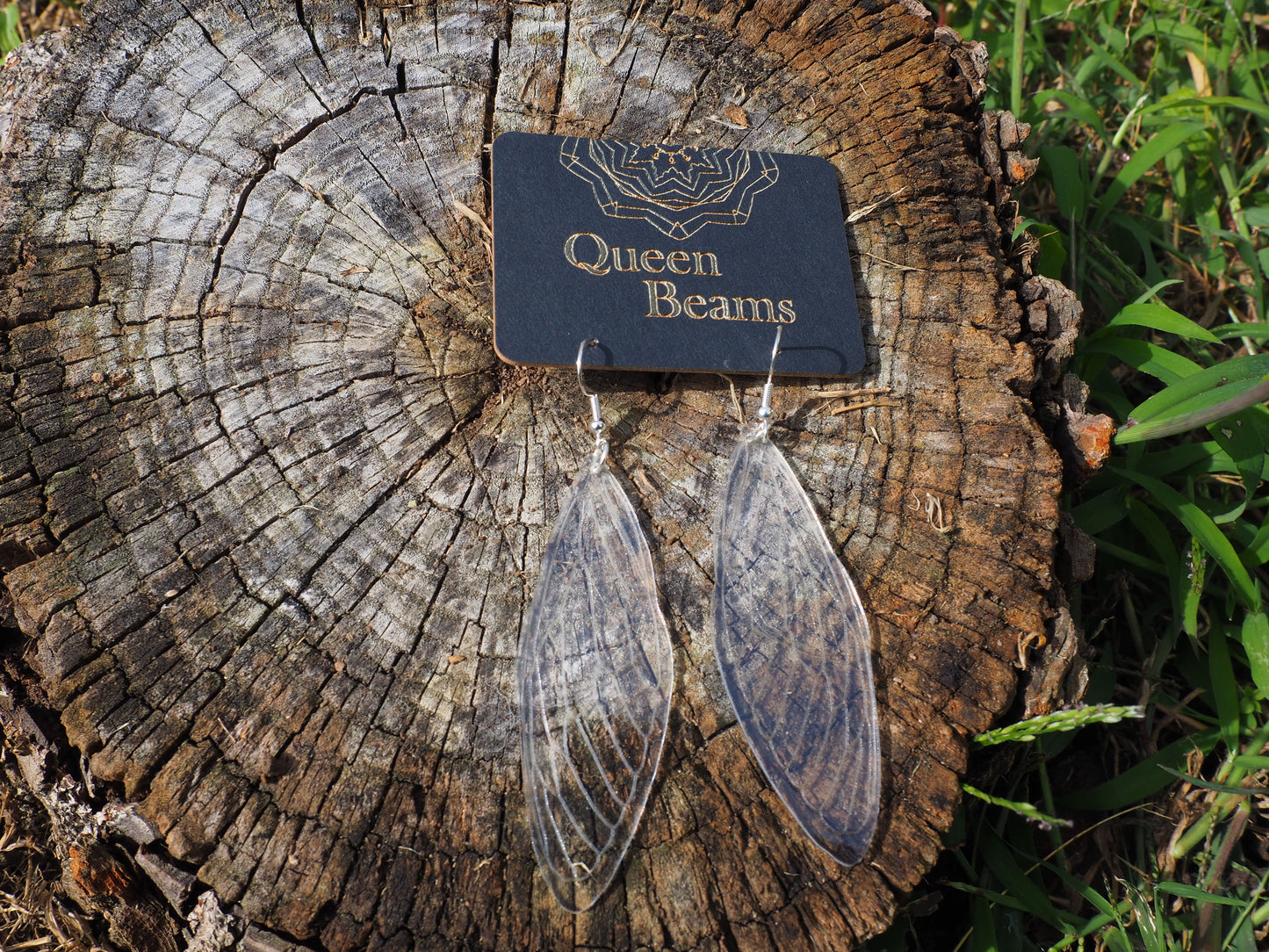 Delicate Cicada Wings